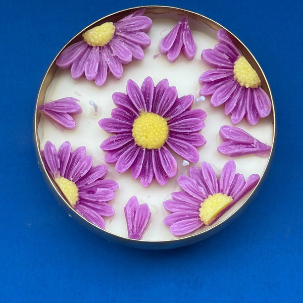 Lumière Bloom